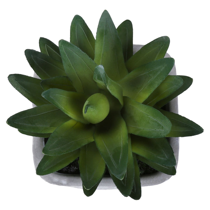 Artificial Succulent Table Decor (Set of 2) - Green Plastic