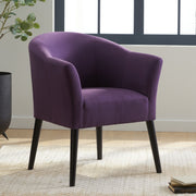 Noble House fabric arm chair with cushioned plum seat, wooden legs, and modern design in a comfortable living room setting.
