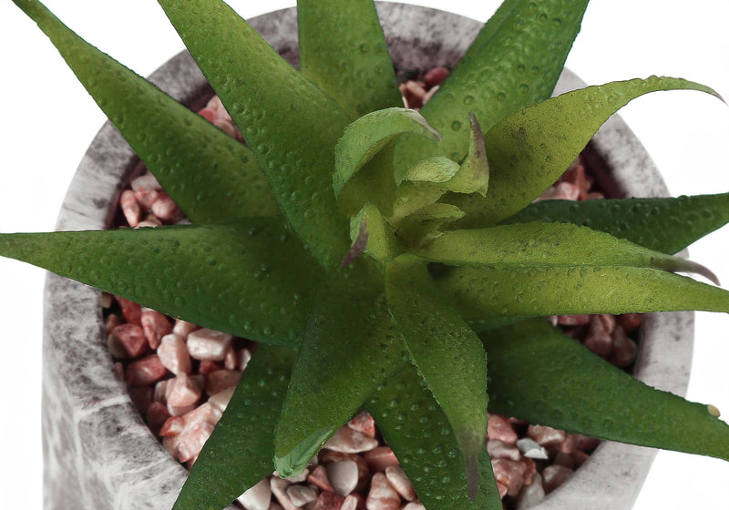 6" Tall, Artificial Plant, Succulent, Indoor, Faux, Fake, Table, Greenery, Potted, Decorative (Set of 2) - Green / Gray - R&R Furniture Gallery (Fountain Valley, CA)