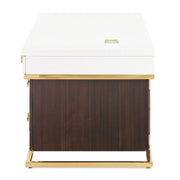 Belmont Place - Desk - White / Dark Brown - R&R Furniture Gallery (Fountain Valley, CA)