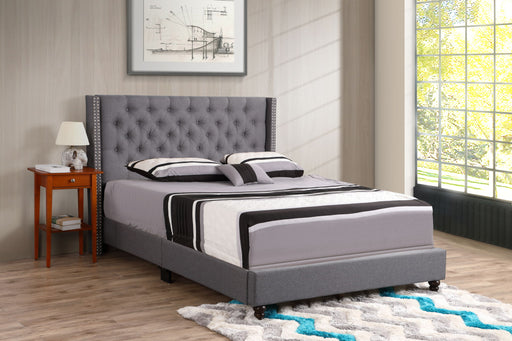 Transitional Nailhead Bed by Glory Furniture, vibrant upholstered bed with nailhead trim and plush fabric for a stylish bedroom look.