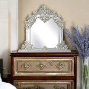 Sandoval - Mirror - Champagne - R&R Furniture Gallery (Fountain Valley, CA)