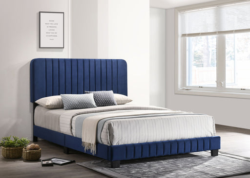 Glory Furniture upholstered Channel Tufted Bed with a plush headboard and sleek design in a modern bedroom setting.