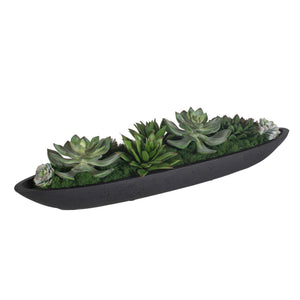 Verde - Succulent Centerpiece In Bowl - Black / Green
