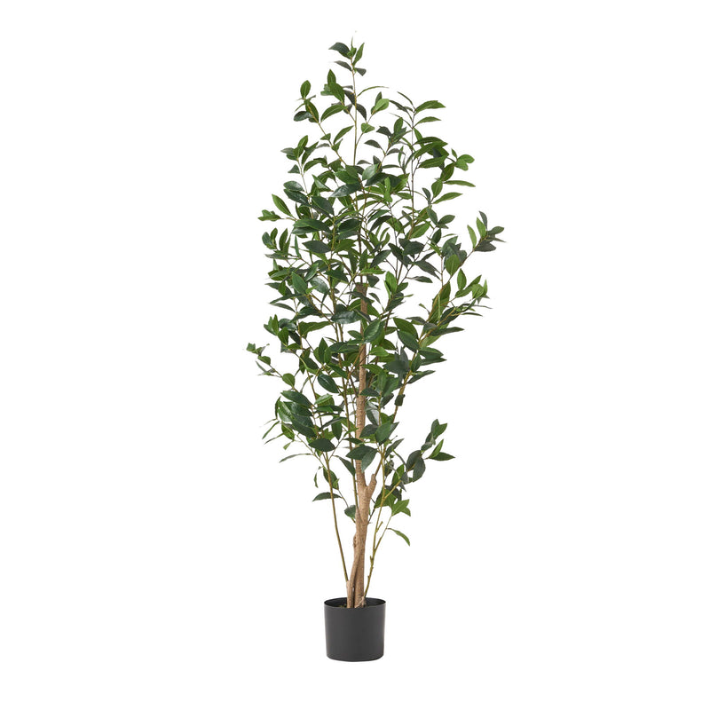 Artificial Laurel Tree