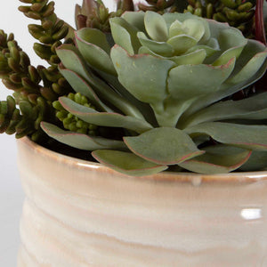 Mesa Succulent Accent - Silver