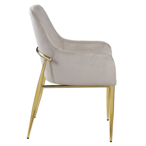 Barnard - Side Chair (Set of 2) - Gray Velvet & Mirrored Gold - R&R Furniture Gallery (Fountain Valley, CA)