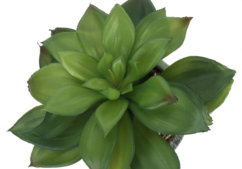 6" Tall, Artificial Plant, Succulent, Indoor, Faux, Fake, Table, Greenery, Potted, Decorative (Set of 2) - Green / Gray - R&R Furniture Gallery (Fountain Valley, CA)
