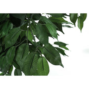 58" Tall, Artificial Plant, Ficus Tree, Indoor, Faux, Fake, Floor, Greenery, Potted, Decorative - Green / Black - R&R Furniture Gallery (Fountain Valley, CA)