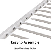 Adam - Metal Bunk Bed - R&R Furniture Gallery (Fountain Valley, CA)