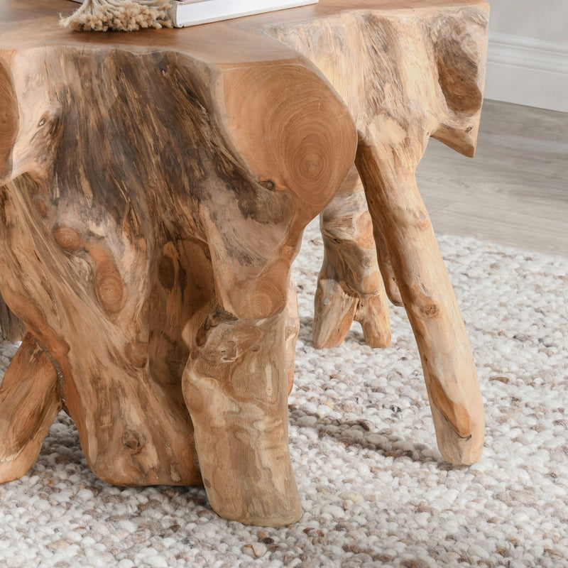 Cypress - Teak Root End Table - R&R Furniture Gallery (Fountain Valley, CA)