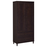 Nestor - 2 Drawer Tall Accent Cabinet With 2 Doors - Rustic