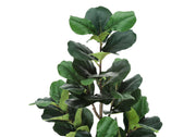 49" Tall, Artificial Plant, Fiddle Tree, Indoor, Faux, Fake, Floor, Greenery, Potted, Real Touch, Decorative - Green / Black - R&R Furniture Gallery (Fountain Valley, CA)