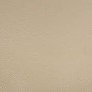 Danae - Arm Chair (Set of 2) - Synthetic Leather , Champagne & Gold - R&R Furniture Gallery (Fountain Valley, CA)