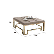 Damien - Cocktail Ottoman - Beige Fabric & Champagne - R&R Furniture Gallery (Fountain Valley, CA)