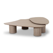 Rhema - Nesting Coffee Table (Set of 2) - Washed Ash - R&R Furniture Gallery (Fountain Valley, CA)