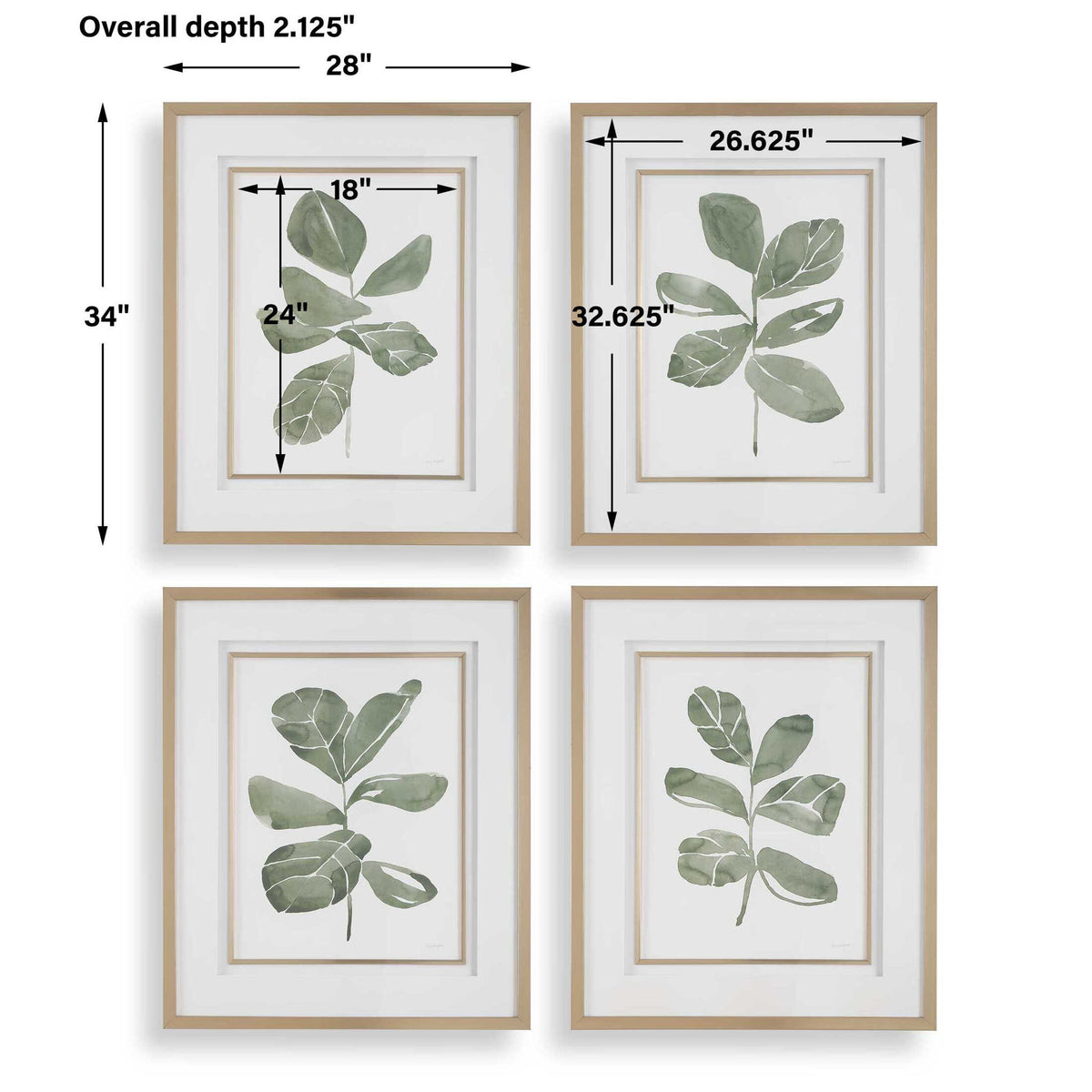 Fiddle Head - Leaf Botanical Prints (Set of 4) - Gold / Green / White