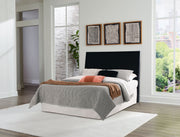 Danziar - Panel Headboard - R&R Furniture Gallery (Fountain Valley, CA)