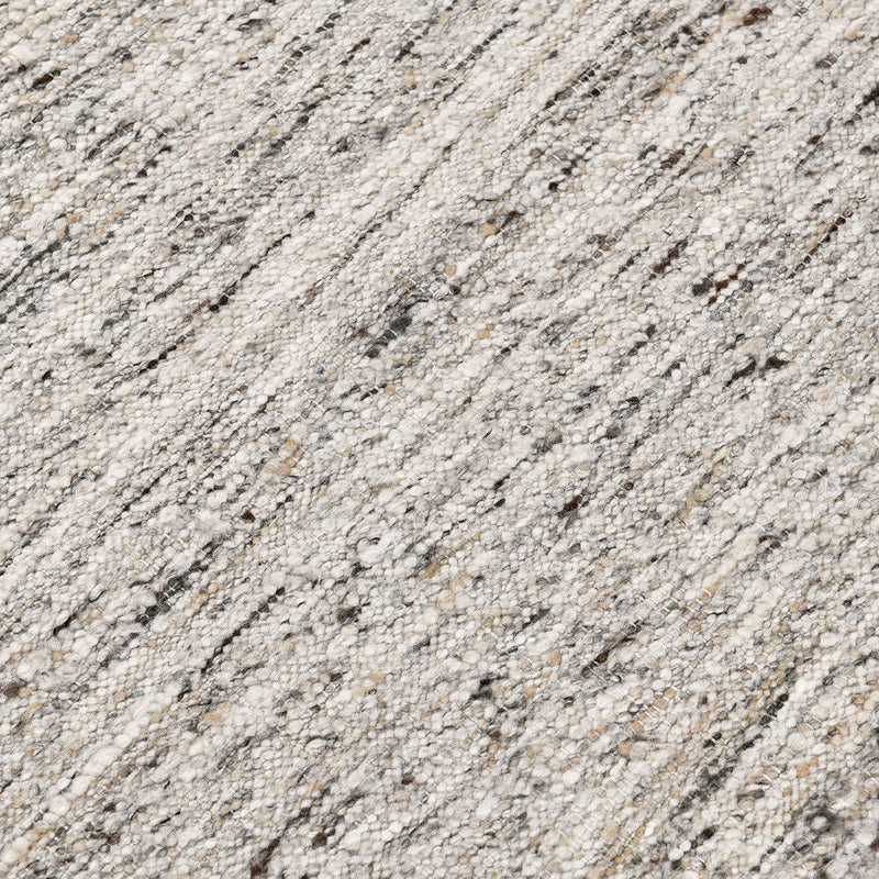 Classic Home Havasu area rug with intricate patterns in neutral tones, showcasing a soft, woven texture.