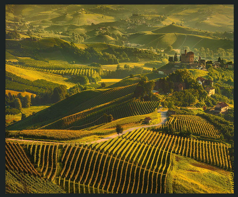 Vinyard - 48" x 72" Photography - Green - R&R Furniture Gallery (Fountain Valley, CA)