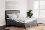 14 Inch Chime Elite 2.0 - Ultra Plush Mattress - R&R Furniture Gallery (Fountain Valley, CA)