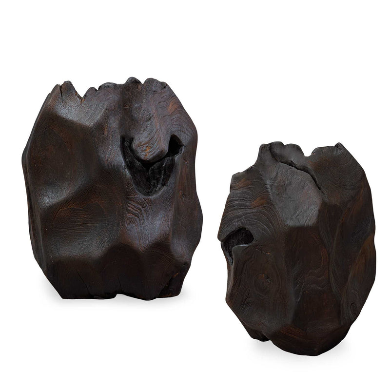 Ember Root - Teak Sculpture (Set of 2) - Black