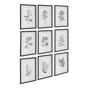Set of nine farmhouse floral framed prints by Uttermost with black frames, featuring colorful floral artwork on white backgrounds.