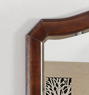 Glory Furniture Triton Cappuccino mirror with a sleek, modern frame, showcasing its stylish design and smooth finish.
