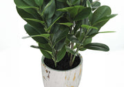 31" Tall, Artificial Plant, Garcinia Tree, Indoor, Faux, Fake, Floor, Greenery, Potted, Real Touch, Decorative - Green / White - R&R Furniture Gallery (Fountain Valley, CA)