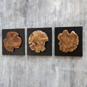 Set of three teak wood wall decor pieces by Uttermost featuring natural textured finishes for stylish interior wall accents.