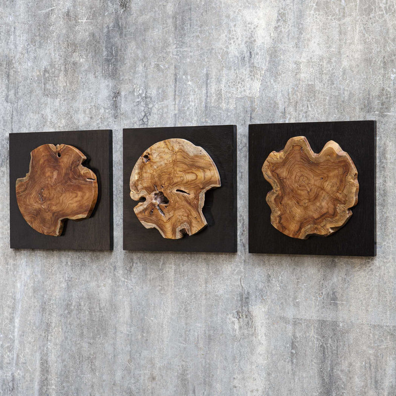 Set of three teak wood wall decor pieces by Uttermost featuring natural textured finishes for stylish interior wall accents.