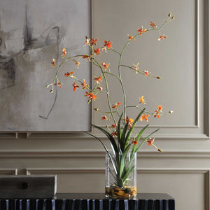 Dancing - Orchid In Glass Vase - Green,Orange