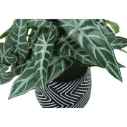 Set of two artificial Alocasia plants from 8th Street with large green leaves, perfect for home or office decor.