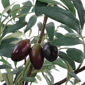 Marisol - Potted Olive Plant - Gray / Green