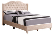 Transitional upholstered bed by Glory Furniture featuring a padded headboard and soft fabric in a modern bedroom setting.