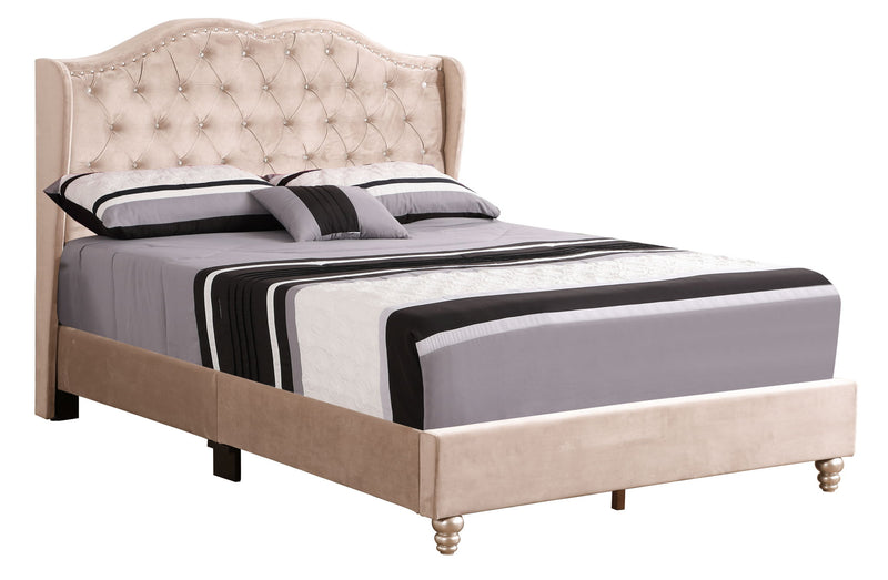 Transitional upholstered bed by Glory Furniture featuring a padded headboard and soft fabric in a modern bedroom setting.