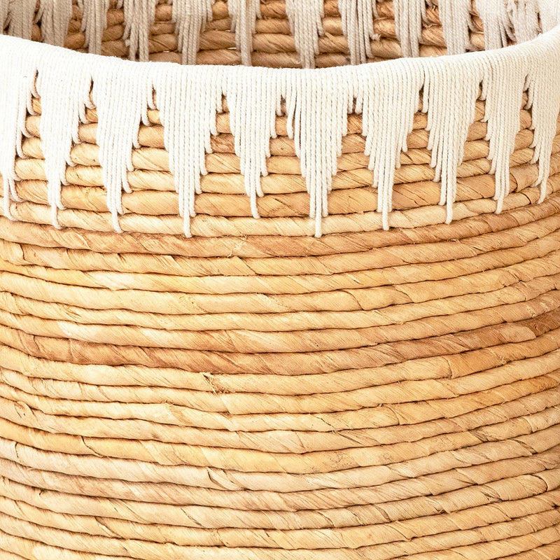 Cianna - Basket (Set of 2) - Natural With White