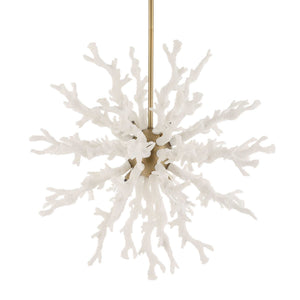 Coral Reef - 8 Light Pendant - Brass