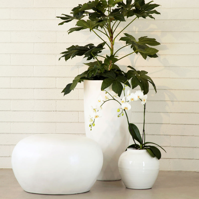 Joshua - Outdoor Coffee Table - Natural White