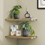Artificial Alocasia plant set from 8th Street, featuring two lush, green decorative indoor houseplants with large arrow-shaped leaves.
