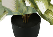 13" Tall, Artificial Plant, Monstera Calthea, Indoor, Faux, Fake, Table, Greenery, Potted, Decorative (Set of 2) - Green / Black - R&R Furniture Gallery (Fountain Valley, CA)
