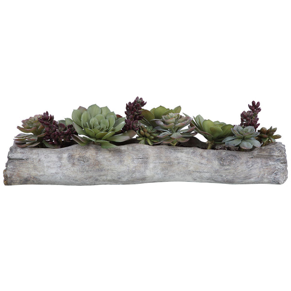 Charita - Lush Succulents - Silver