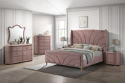 Salonia - Chest - Pink Velvet - R&R Furniture Gallery (Fountain Valley, CA)