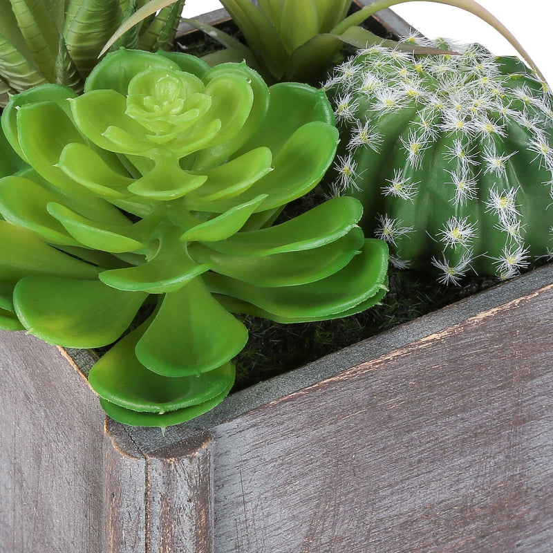 Artificial Succulent, Table Decor (Set of 2) - Green Plastic
