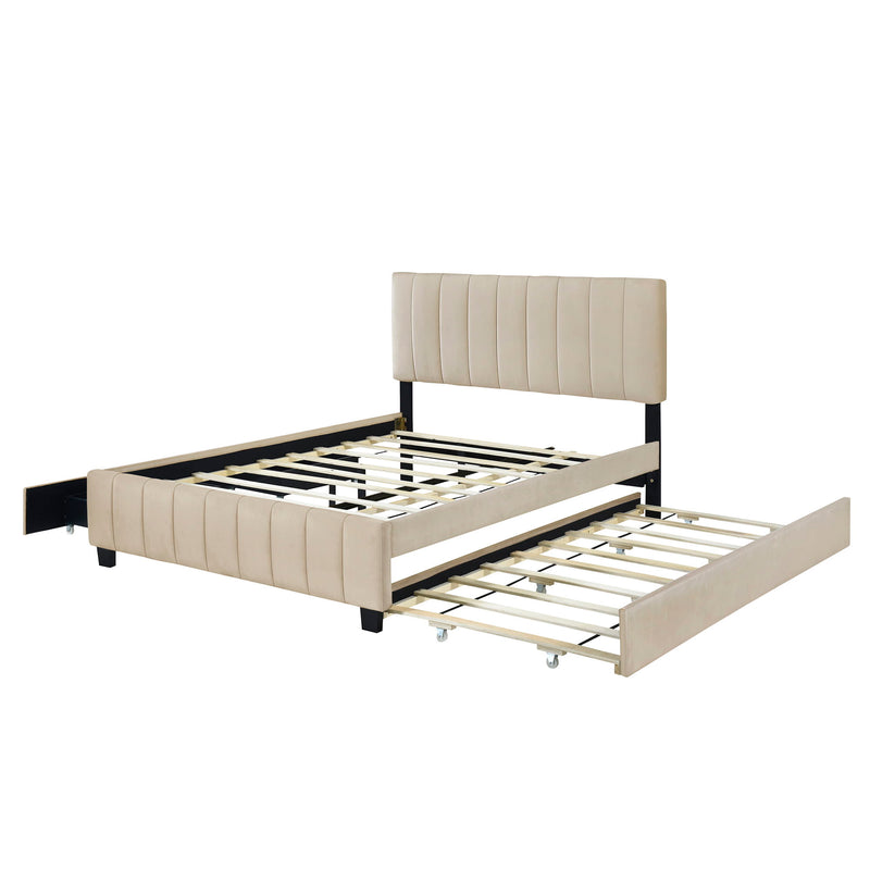 DreamHaus platform upholstered storage bed with two drawers and twin long trundle, showcasing its sleek design and padded headboard.