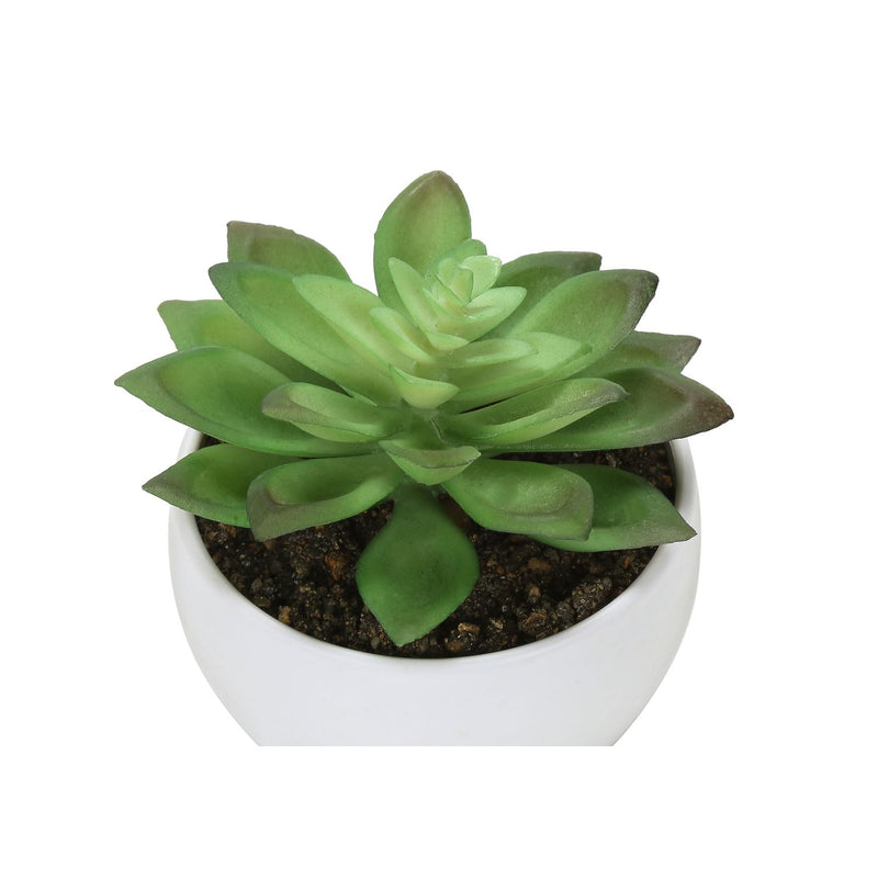 Set of 3 artificial succulent plants from 8th Street, showcasing realistic green and textured faux succulents in decorative pots.