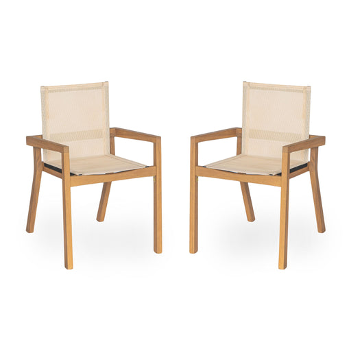 Set of two Noble House Belfast dining chairs with acacia wood frames and cushioned seats, showcasing stylish and sturdy design.