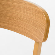 Set of two Noble House dining chairs with cushioned seats, featuring modern design and comfortable upholstered seating.