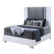 Moon - Bed & LED Accent Lighting - R&R Furniture Gallery (Fountain Valley, CA)