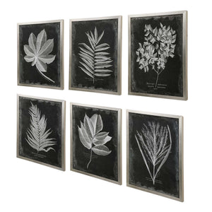 Set of six black framed foliage prints by Uttermost, featuring botanical artwork on white backgrounds for wall decor.